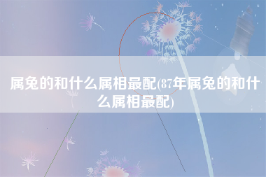 属兔的和什么属相最配(87年属兔的和什么属相最配)