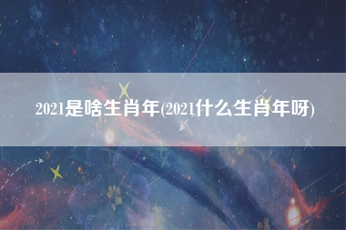 2021是啥生肖年(2021什么生肖年呀)