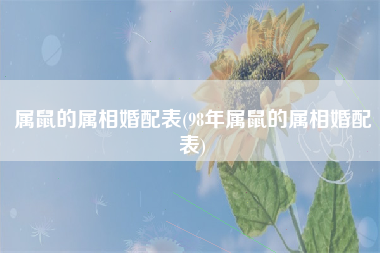 属鼠的属相婚配表(98年属鼠的属相婚配表)