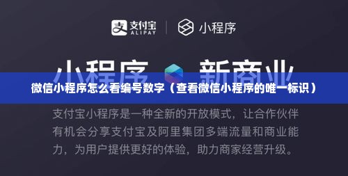 微信小程序怎么看编号数字（查看微信小程序的唯一标识）