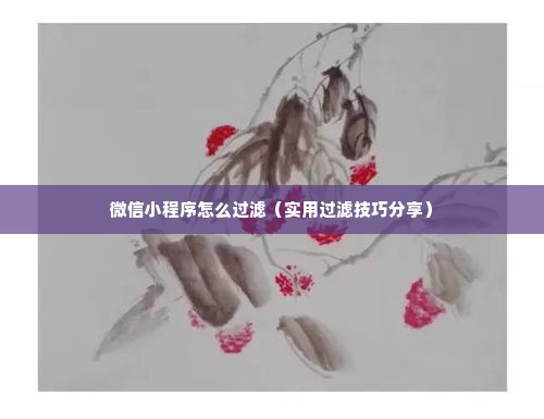微信小程序怎么过滤（实用过滤技巧分享）
