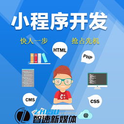 开发小程序微信怎么收费（小程序开发费用解析）