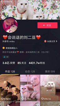 兰州抖音月付套出来（揭秘抖音月付套出来的内幕）