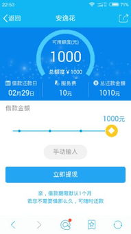 安逸花套出来1万（安逸花借款技巧）