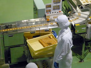 阳江品牌拼板机厂家电话