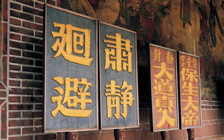 户外品牌logo设计的艺术与实践