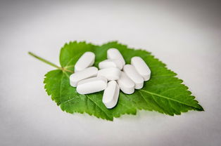 医药品牌研发流程详解