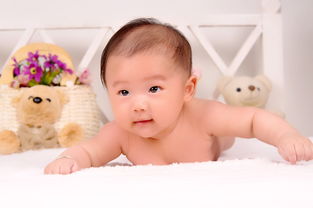 母婴品牌诉求，打造安全、健康、舒适的婴儿护理体验