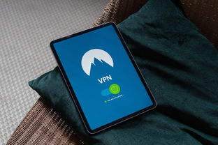 白条闪付套出来安全，深度解析与实用指南