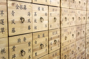 中华老字号医药品牌的故事