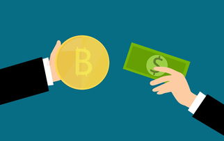 怎样分期乐套出来的钱—小议分期购物与资金运用