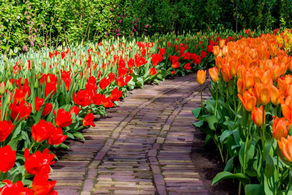 花园风景,花园风景图片高清