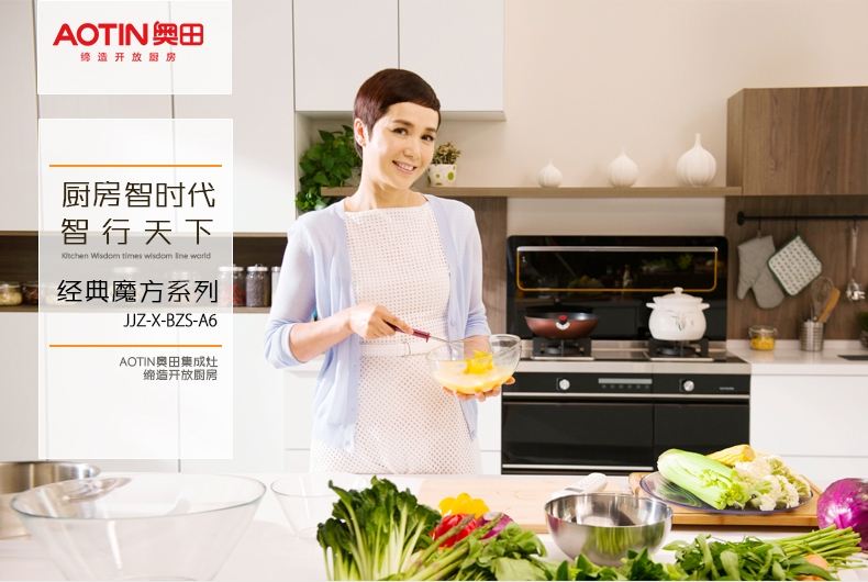 奥田集成灶排名,奥田集成灶十大名牌