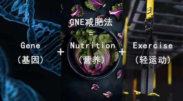 精准营养 精准营养重新定义的健康科学