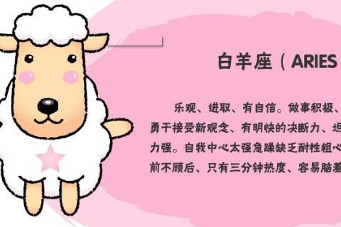哪个星座的男生最聪明 最聪明的星座是什么星座男生