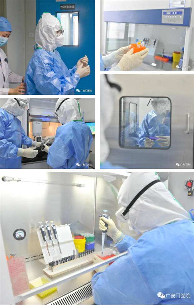 新冠病毒核酸检测工作职责 新冠病毒核酸检测工作手册生物安全