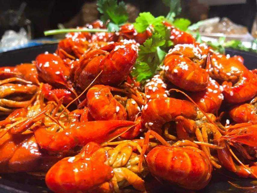小龙虾的外貌描写 小龙虾的外貌描写作文