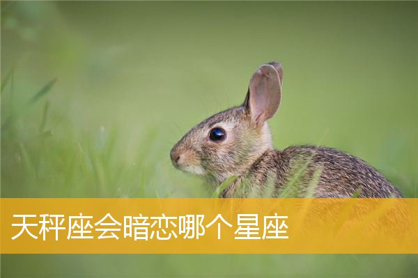 3.31什么星座 331什么星座配对