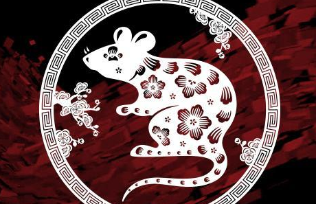 属鼠带什么好 鼠属相带什么好