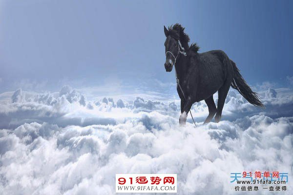 属马跟属鼠的相配吗 属马跟属鼠的相配吗婚姻