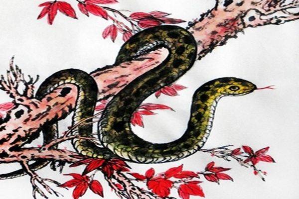 属蛇2019年下半年运势 属蛇2019年下半年运势如何