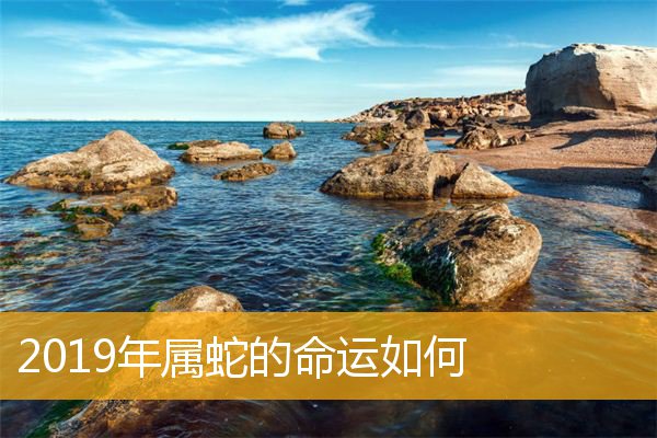 属蛇的明年运气怎么样 2023年属蛇终于转运了