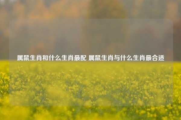 属鼠生肖和什么生肖最配 属鼠生肖与什么生肖最合适