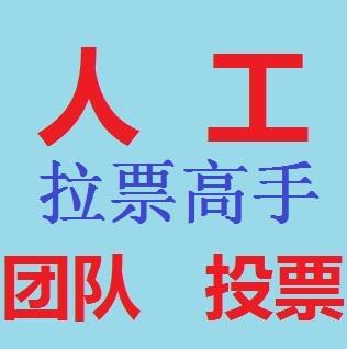 临夏微信人工投票 人工微信投票提供的截图都是真的吗