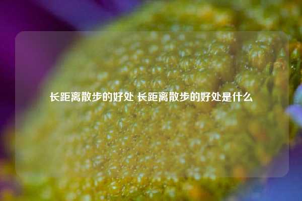 长距离散步的好处 长距离散步的好处是什么