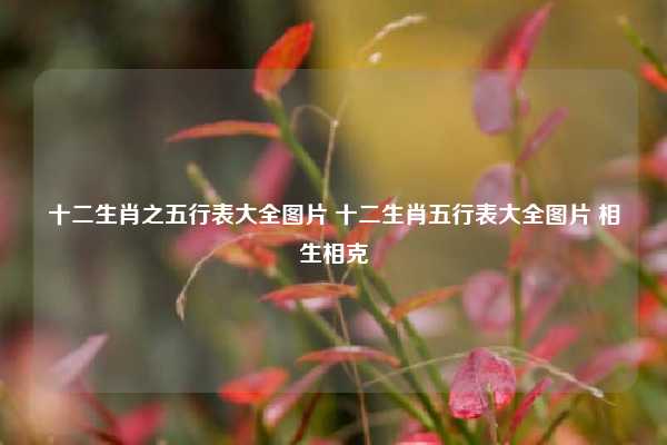 十二生肖之五行表大全图片 十二生肖五行表大全图片 相生相克