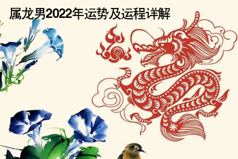 属龙的人今日运势 属龙的人今日运势简介