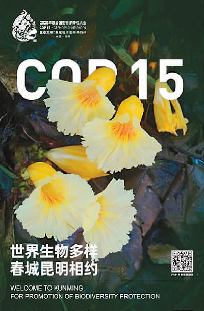 中国世界遗产事业的成功实践(看・世界遗产)