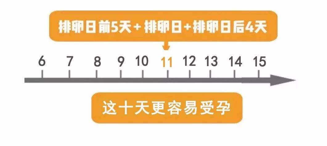 十二星座啪啪姿势图片(12星座霸气图片大全大图)