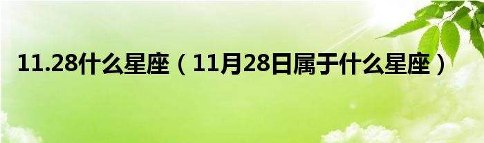 11月28曰是什么星座(11月28日是什么星座?)