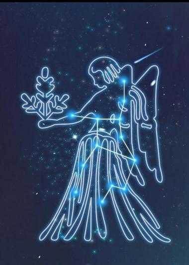 双子处女座(双子处女座闺蜜)