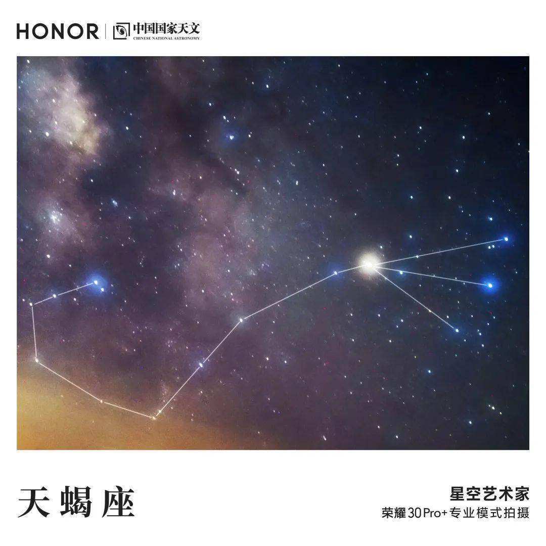 王北车什么星座(王北车是哪的人)