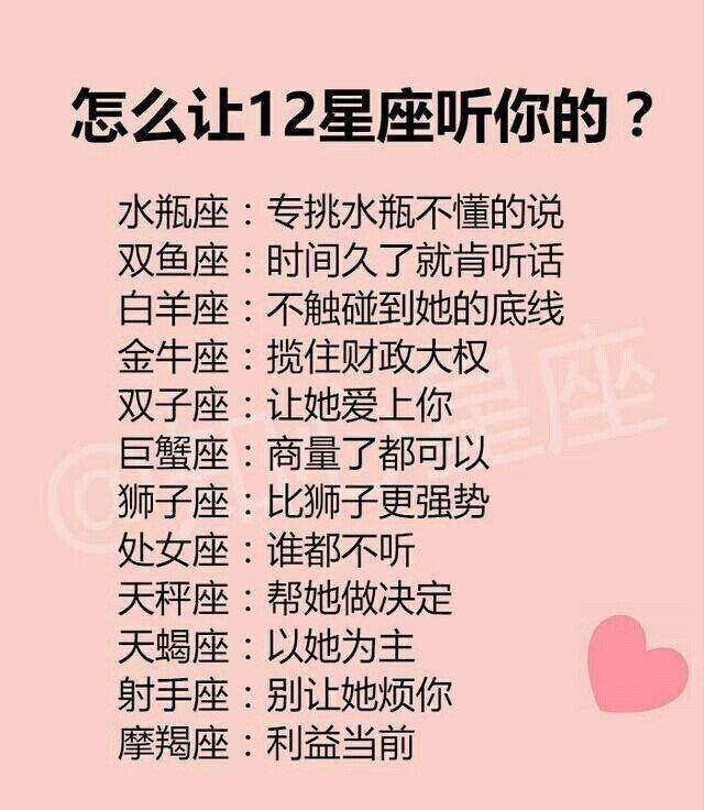 十二星座代表的花语(各种花的花语 星座)