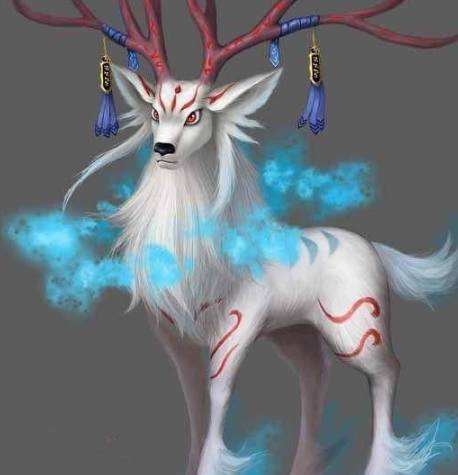 十二星座凤凰(十二星座凤凰坐骑)
