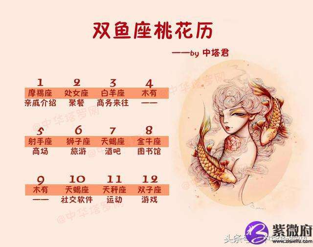 1119是什么星座(19981119是什么星座)