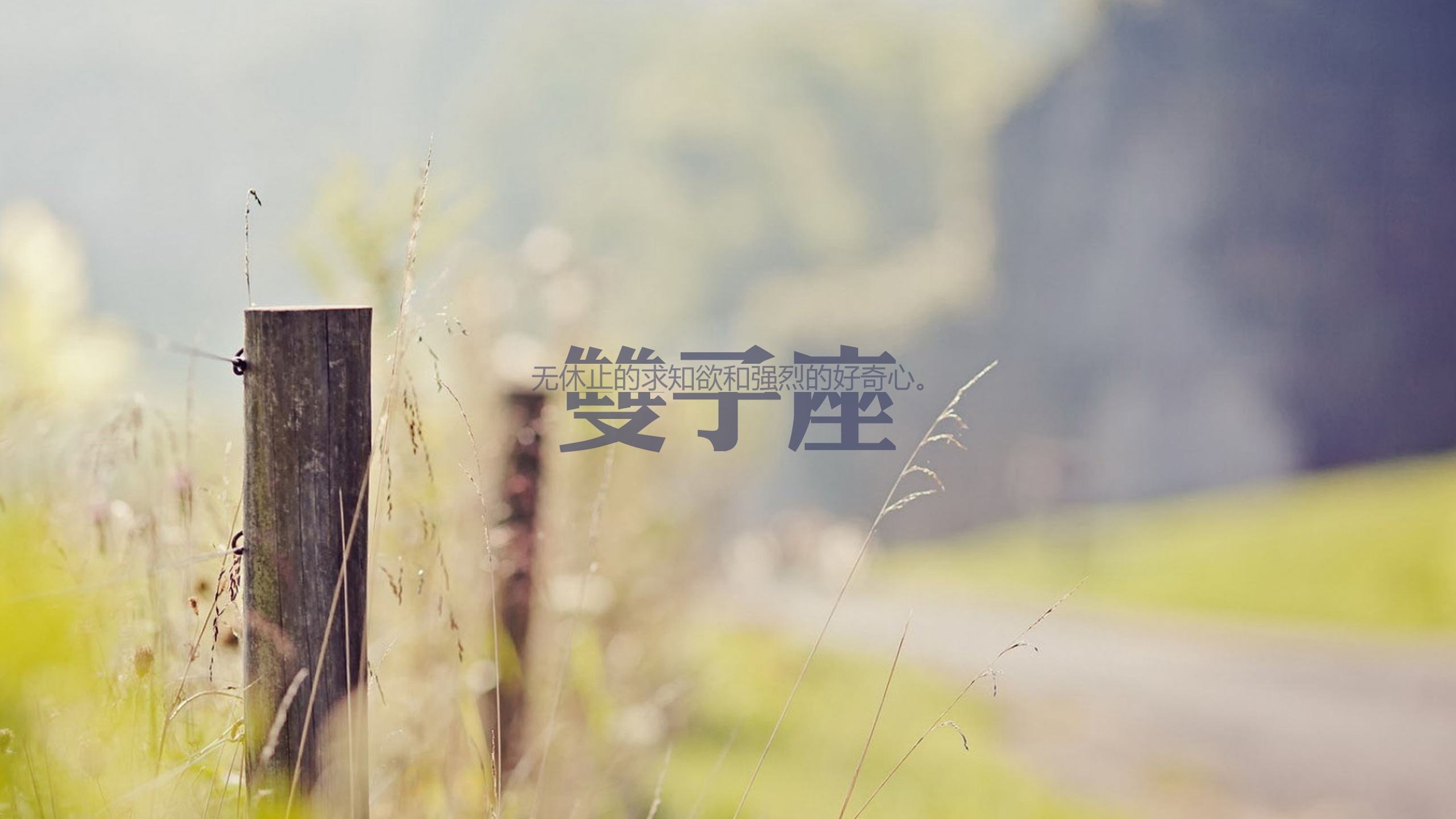 星座文字图片大全大图(十二星座的图片)