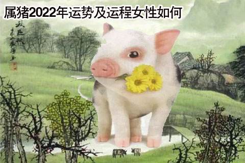 1971属猪的是什么星座(1971年生的猪是什么星座)