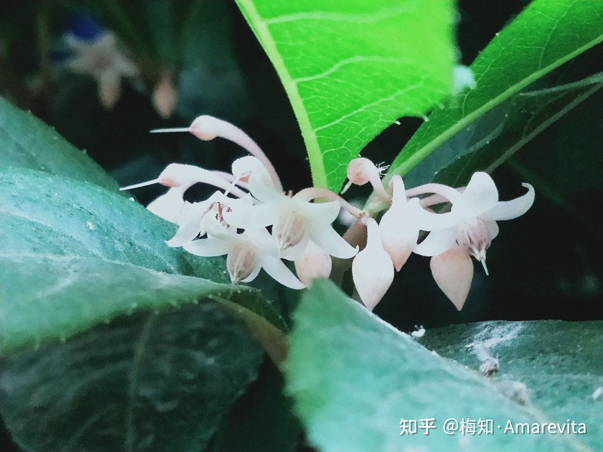 六月十四日是什么星座(六月十四日是什么星座第一星座网)