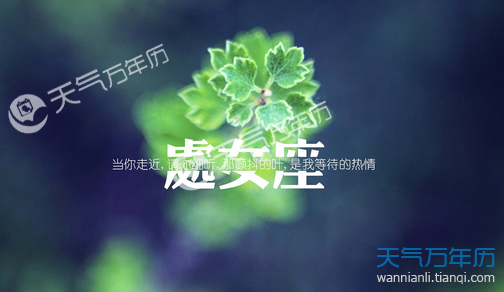 属羊处女座2015年运势(属羊处女座今年运势)