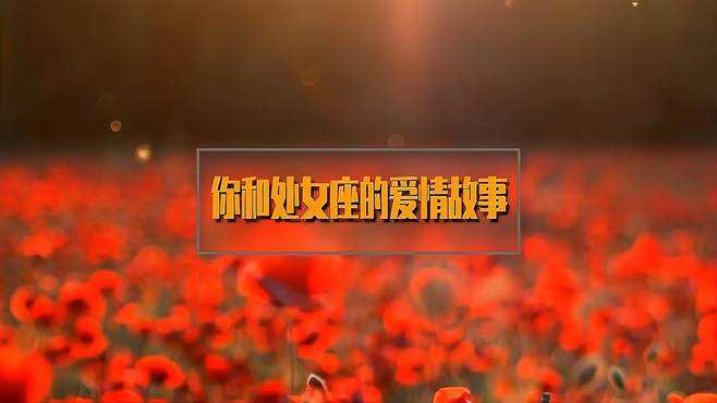 关于处女座的故事(关于处女座的故事图片)