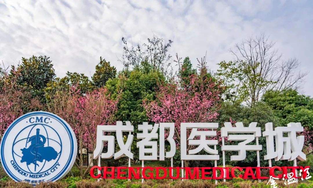 温江丽阳星座停工(温江政通路丽阳星座)
