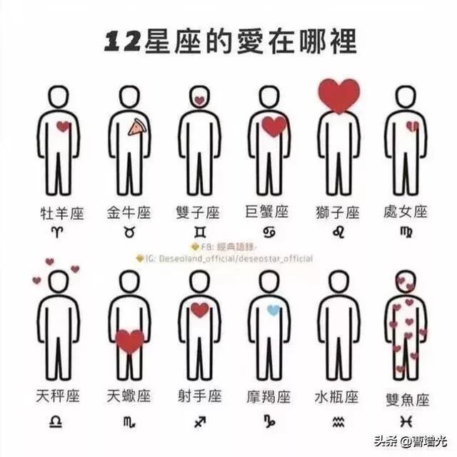 12星座的魔法(12星座的魔法礼服)