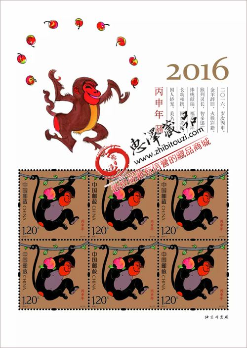 生肖表2016(生肖表2022波色卡)