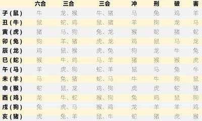 十二生肖表如何选择(12生肖相生肖正确表)