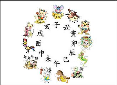 吸光度280代表什么生肖(吸光度260280是什么意思)