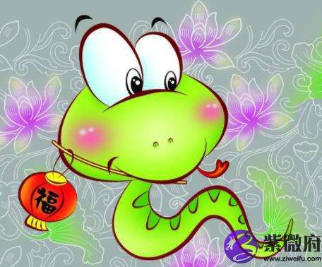 378代表什么生肖(2728属什么的生肖)